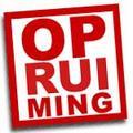 OPRUIMING